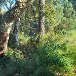 Eco-country-cottage Nadadouro