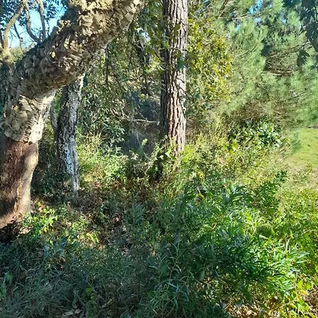 Eco-country-cottage Nadadouro